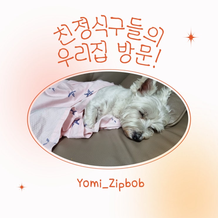  우리집에 아빠빼고 친정식구들일 방문했어요~!!!히히히