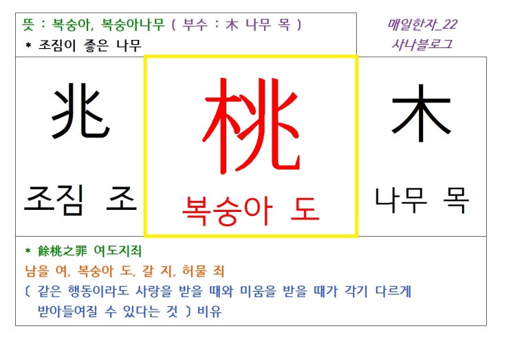 매일한자 공부하기(22) 복숭아 도