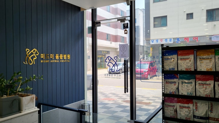  김포마산동동물병원 미드미동물병원 강아지알러지 귀질환치료