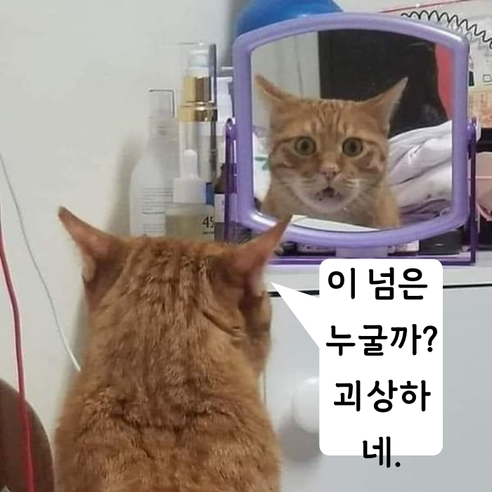  [교훈글귀.명언] 글귀 2개