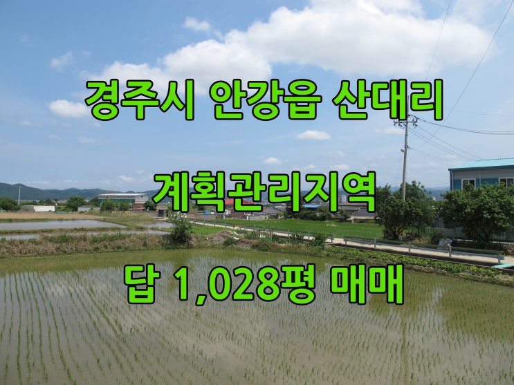  경주시 안강읍 산대리 토지 『논』 1,028평 매매