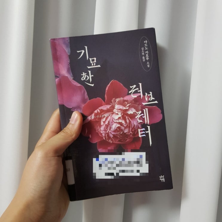  기묘한 러브레터/야도노 카호루