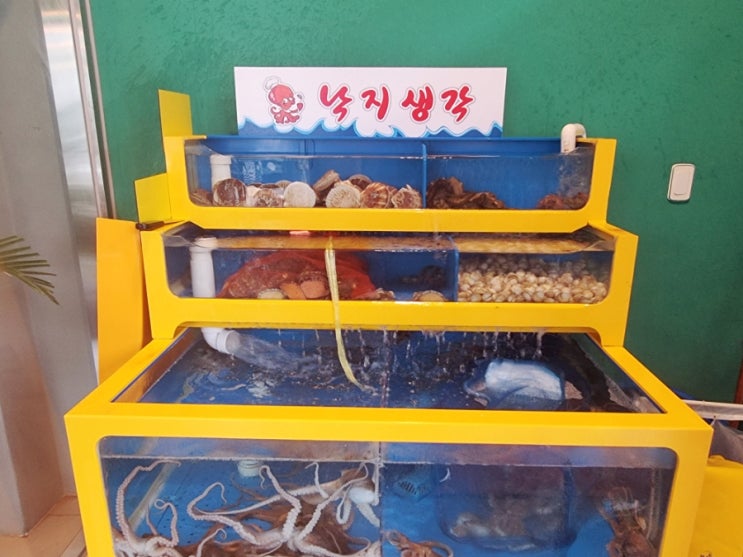  [파주 헤이리마을맛집] 헤이리마을 낙지덮밥이 맛있는 서빙로봇이 있는 낙지생각
