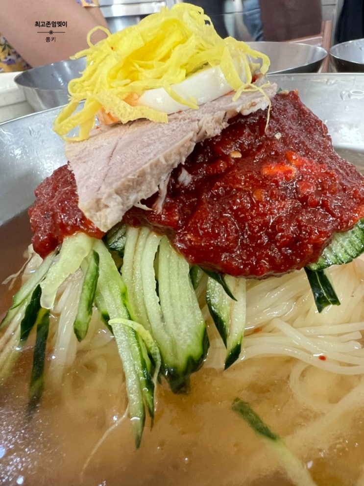  [경주 황오동 맛집] 부산가야 밀면전문점 :: 물밀면 비빔밀면