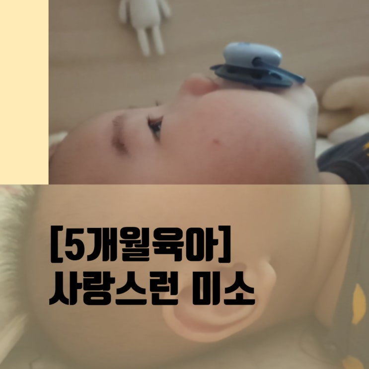 [5개월 육아]사랑스러운 미소의 하루 (사진 많음)