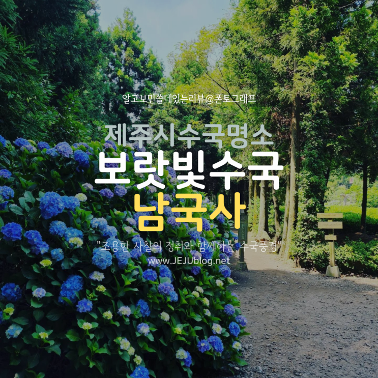 6월~7월 제주도여행 사찰의 정취와 함께하는 제주수국명소 남국사