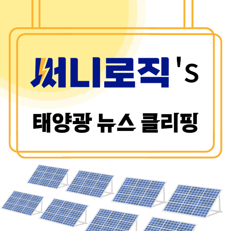  [써니 NEWS] 6월 넷째 주 써니 뉴스 클리핑️
