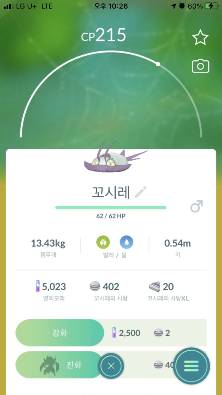  꼬시레, 갑주무사