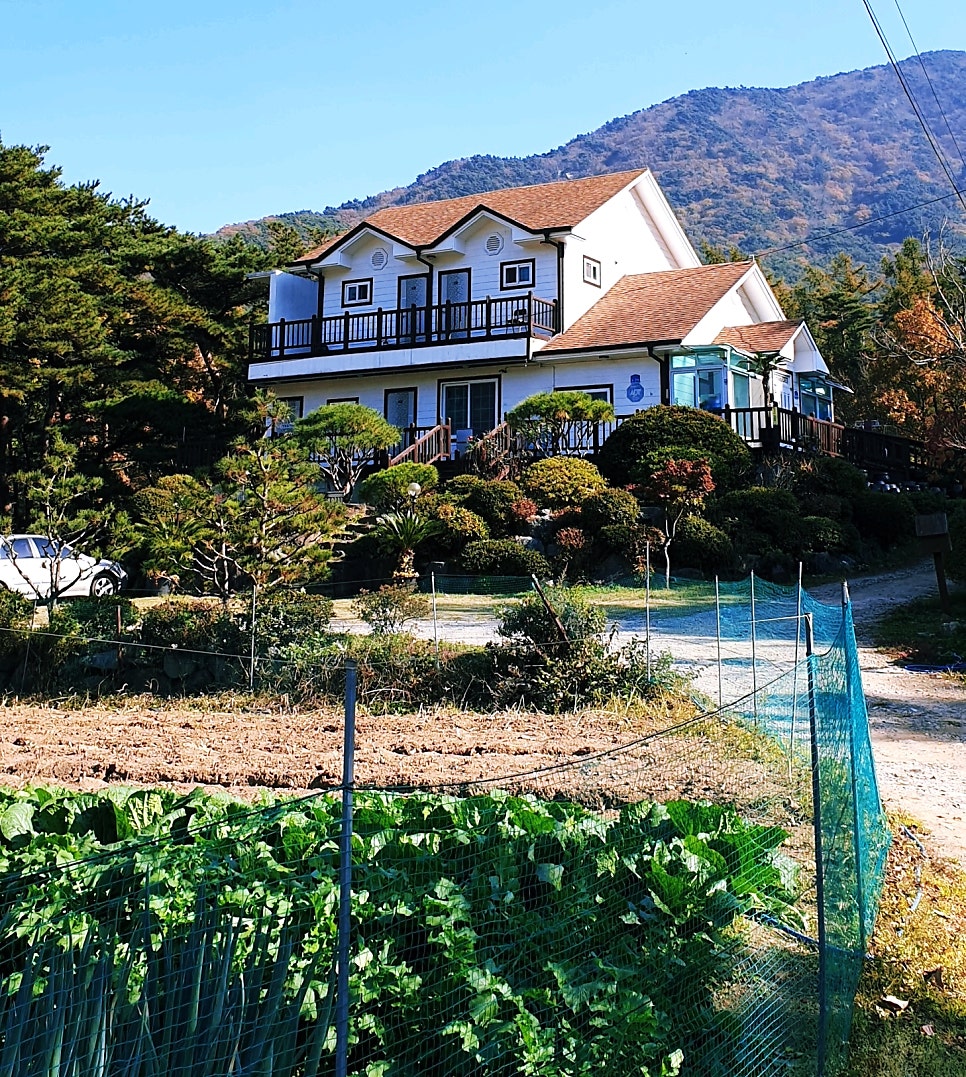 오서랑펜션 사진 4
