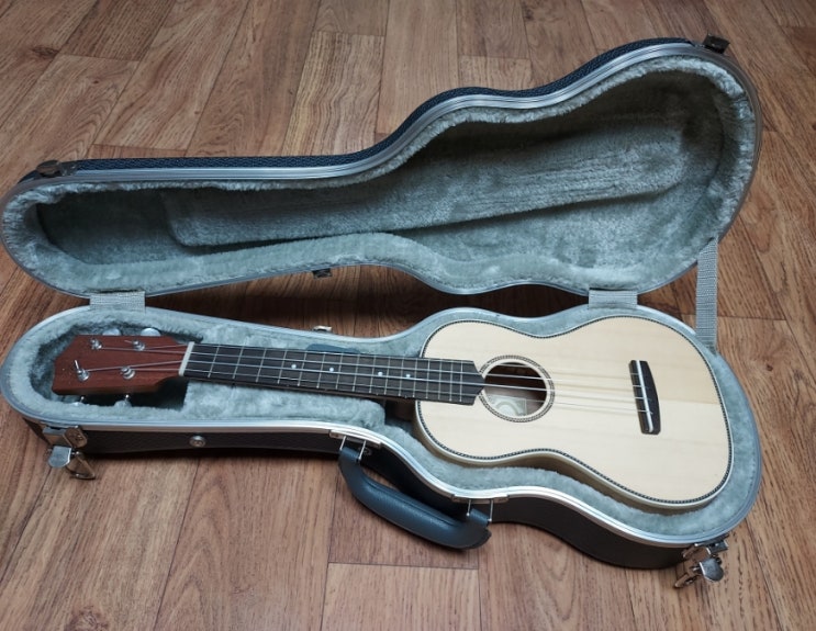  우쿨렐레를 배우기 시작했어요