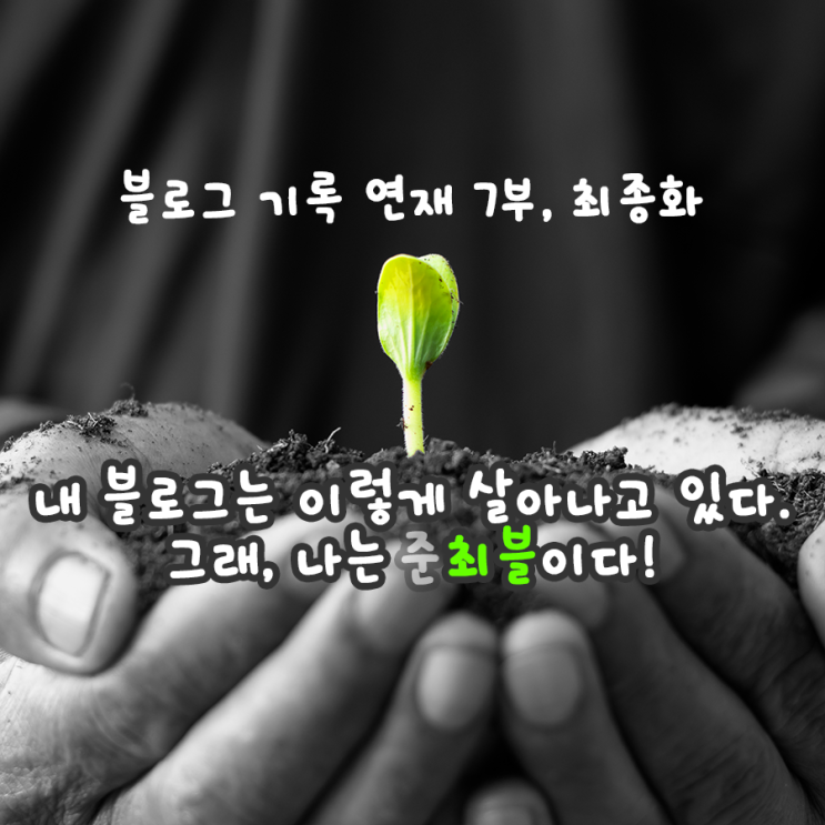 내 블로그는 이렇게 살아나고 있다. (단편)