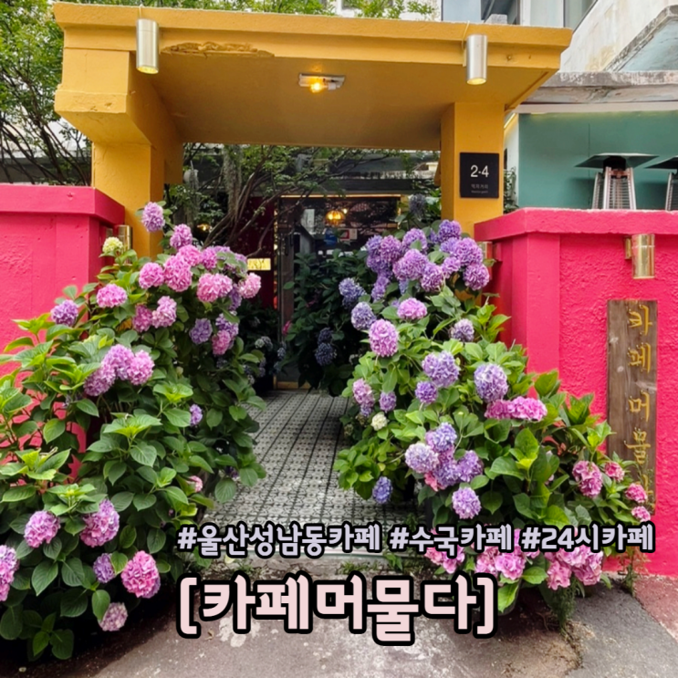  울산 성남동 카페 카페머물다 수국 포토존이 있는 24시 카페
