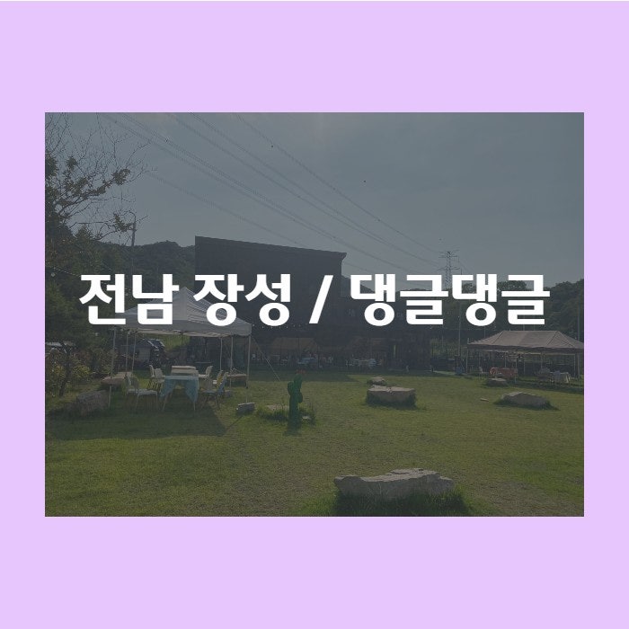 사진 3