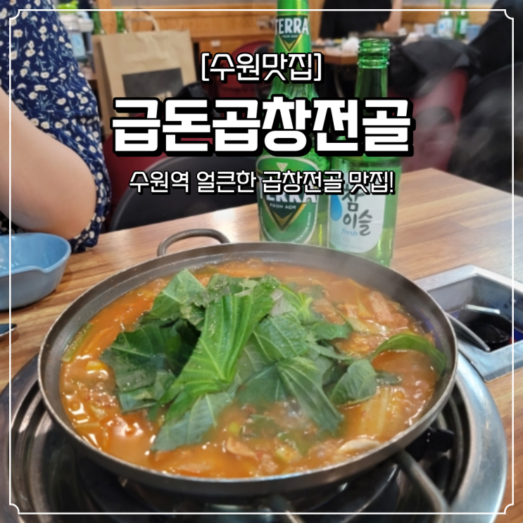  수원역 곱창전골 맛집 금돈곱창전골