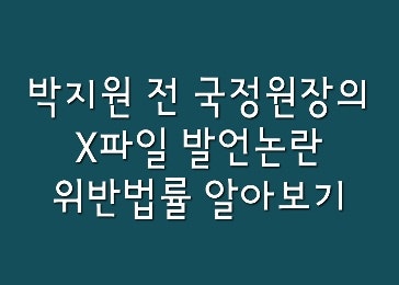 [뉴스속법률이야기] 박지원 전 국정원장의 국정원X파일 발언, 위반법률을 알아보자