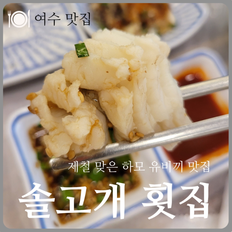  <여수 맛집>제철 맞은 하모 유비키-여수 솔고개 횟집