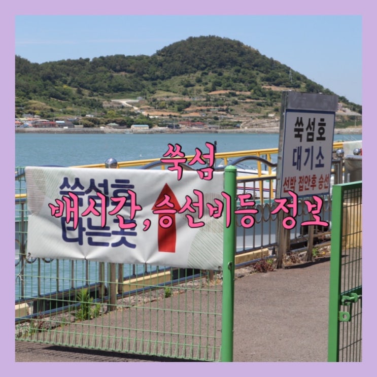  고흥 쑥섬 바다위 비밀정원 애도 고양이섬 배편정보 및 예약방법