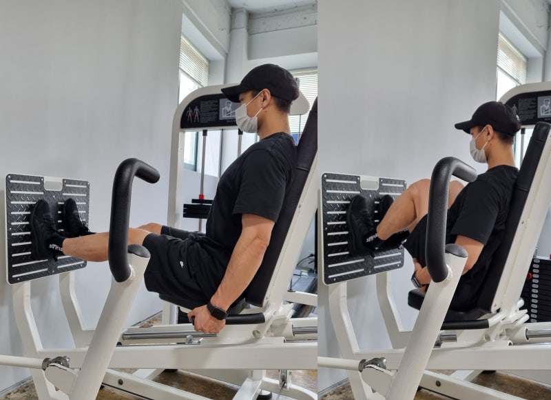 뉴텍 시티드 레그프레스 운동방법 (초급자 눈높이) : 네이버 블로그 뉴텍 시티드 레그프레스 운동방법 (초급자 눈높이) : 네이버 블로그