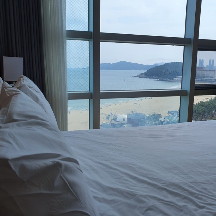  내돈내산 부산여행 해운대 오션뷰 가성비 호텔 추천!