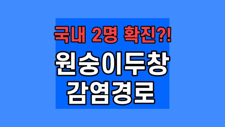  원숭이두창 감염경로 증상 백신 관련주 치료제 예방 전염 바이러스 동성애 국내 확진자