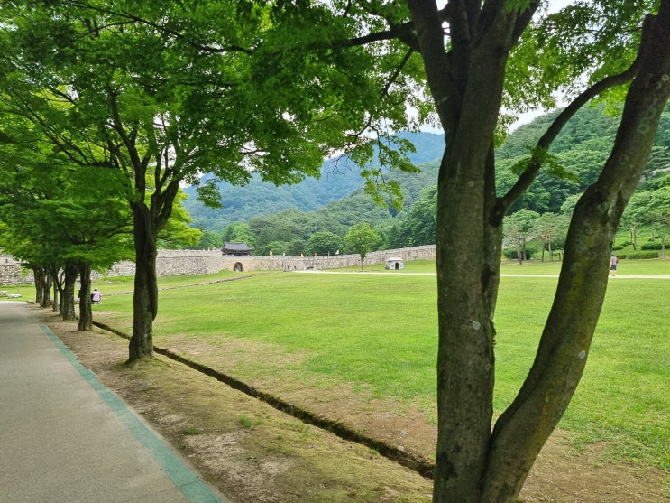  친구들과 문경 1박 2일 여행 기록 #4 (목련 가든, 문경 생태 미로공원, 문경새재 전동차, 문경새재 오픈 세트장, 옛길 박물관, 도자기 박물관, 문경 스탬프 투어)