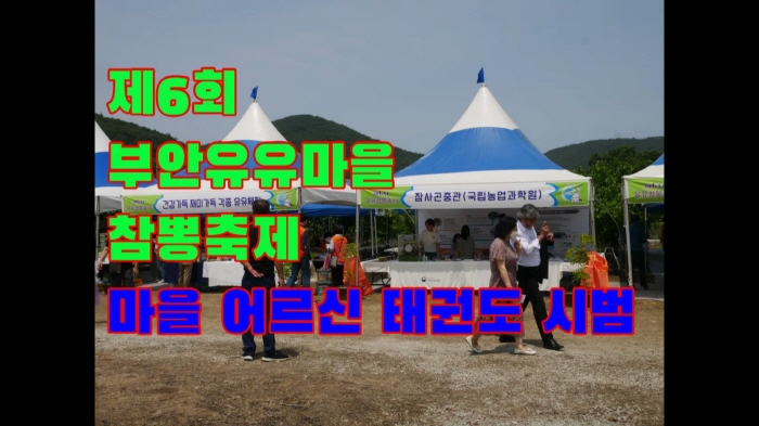 부안유유참뽕축제, 마을 어르신 태권도 시범 부안유유참뽕축제, 마을 어르신 태권도 시범