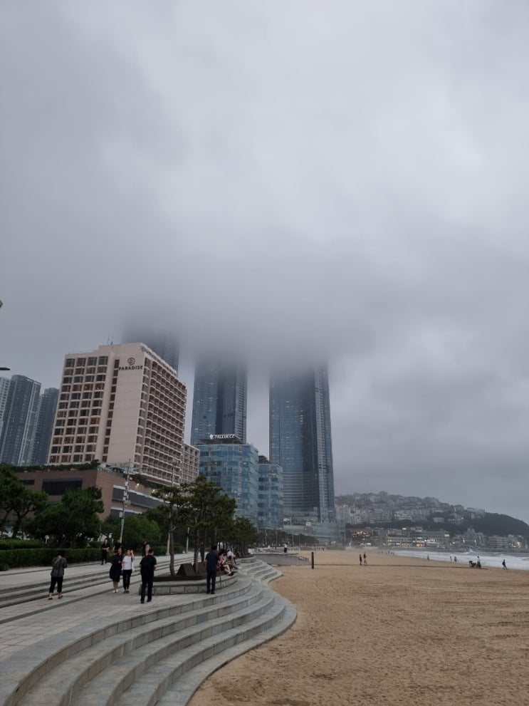  2022.06.23 해운대 임장(?)