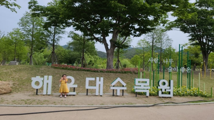 부산 여행코스 아이와 가볼만한곳 해운대수목원