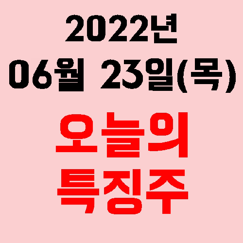  오늘의 시장 특징주 2022년 06월 23일(목)