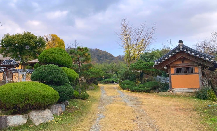  대구근교 드라이브 가볼만한곳 성주 한개마을 옛담장