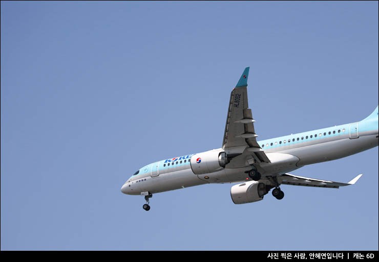 김포 제주도 비행기표 예약 제주 비행기 특가 예매 : 네이버 블로그