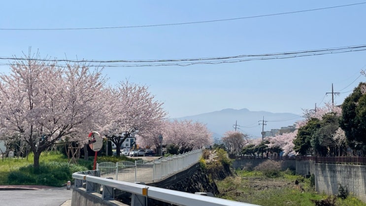  제주1년살기, 제주 한달살기 숙소 구하는 방법! 낱낱이 알려드립니다!