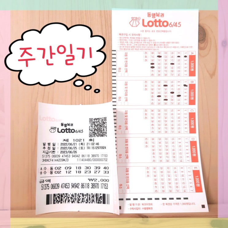  주간일기 오랜만에 복권, 로또 1021회 샀어요