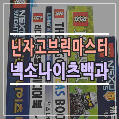  레고 닌자고 닌자 피규어 포함 브릭마스터 레고 넥소나이츠 대백과 + 아이디어 북 50% 할인 공구