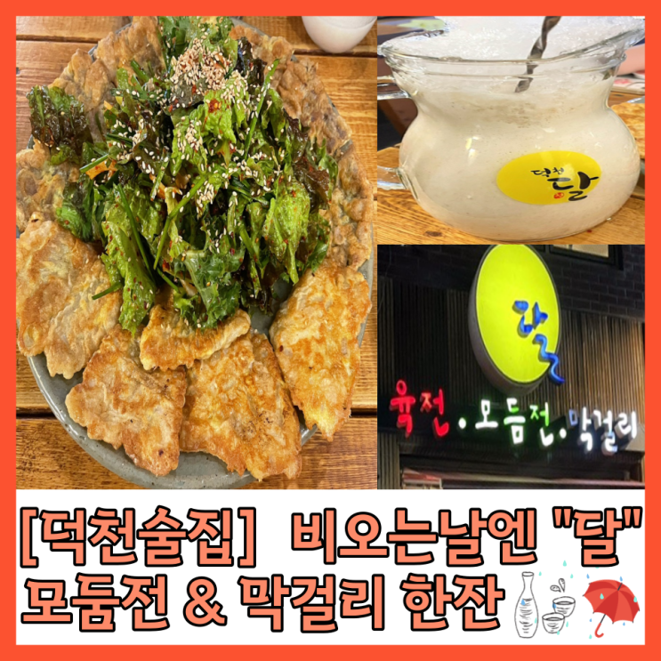  [덕천술집] 비오는날엔 육전과 막걸리가 맛있는 “ 달 ”  내돈내산 ️