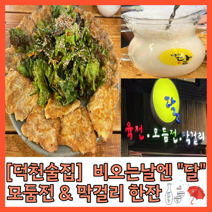 [덕천술집] 비오는날엔 육전과 막걸리가 맛있는 “ 달 ”  내돈내산 ️