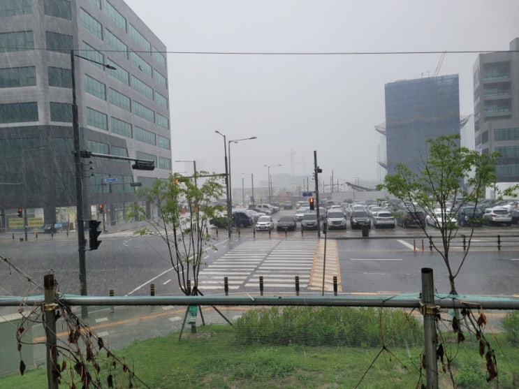  5월22일 비가온다ㆍ오랫만에 비다운 비가 쏟아졌다.