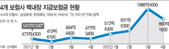 인정·심사…감소세로 돌아선 백내장 보험금 지급액