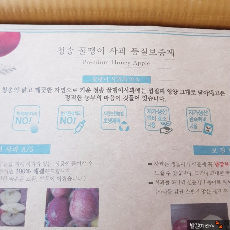  아삭아삭 맛있는 '청송 꿀땡이 사과' (택배) ㅡ 내돈내산