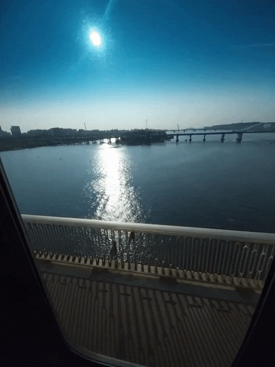  [주간 일기] 06.23