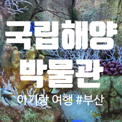  부산 영도 국립해양박물관 ; 돌 아기랑 가볼 만한 곳