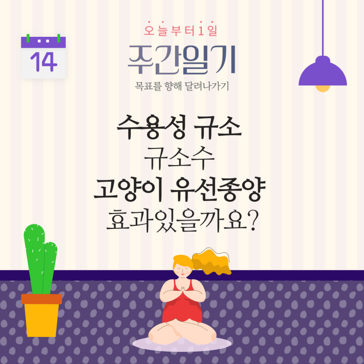 수용성 규소 규소수 고양이 유선종양 효과있을까요?