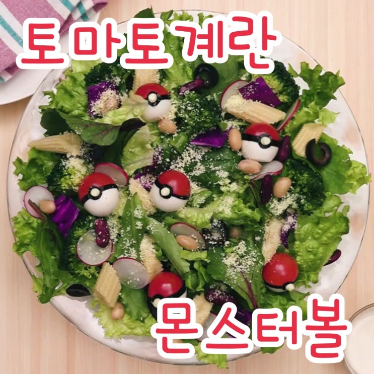 포켓몬스터 몬스터볼 포켓볼 : 캐릭터도시락 레시피