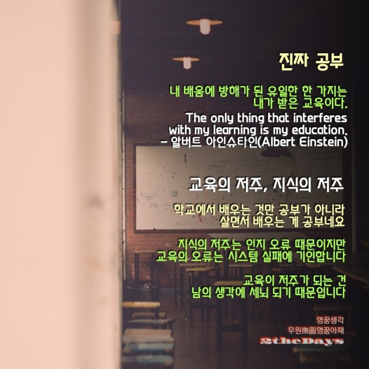  배움과 공부에 대한 아인슈타인 명언, 교육의 저주