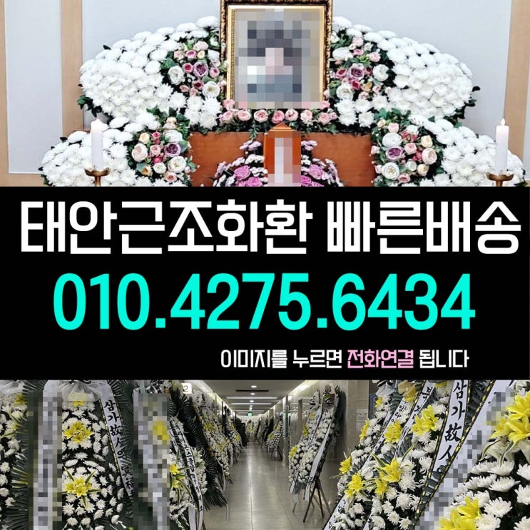  태안군보건의료원장례식장 부고화환 상조화환 고인 추모 근조 꽃집 꽃배달