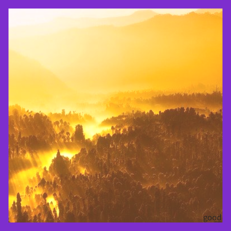  시간이 없다고? 만들면 됩니다. 그 시간!