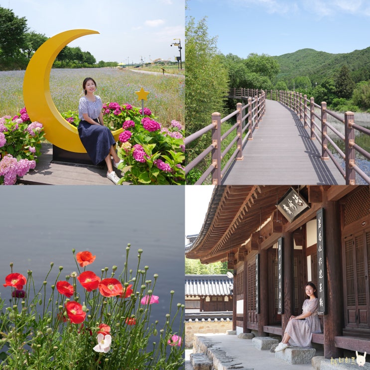 장성 가볼만한곳 황룡강 생태공원, 축령산 편백치유의숲 여행 장성 가볼만한곳 황룡강 생태공원, 축령산 편백치유의숲 여행