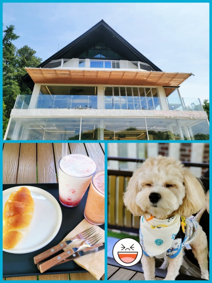  경기도 애견동반 용인맛집ㅣ남사커피ㅣ데이트하기 좋은곳, 멋진뷰 맛집, 내돈내산