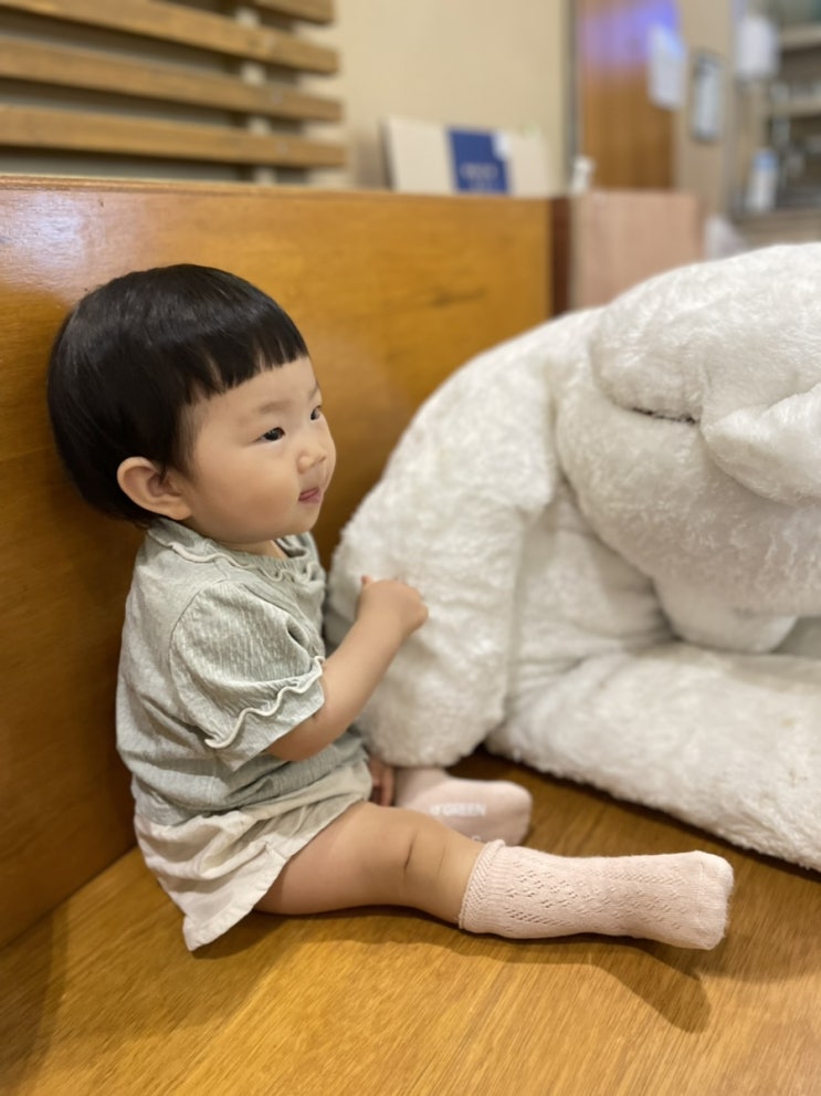  [주간일기] 내 일상 = 아기일상이지, 조용히 사고도 치고 외출도 하고 돌사진도 찍은 한 주.