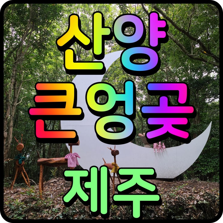  제주 산양큰엉곶 숲길 산책 곶자왈 도립공원 주변 이쁜 숲속